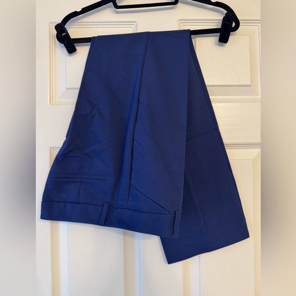 Express Blue Editor Pants